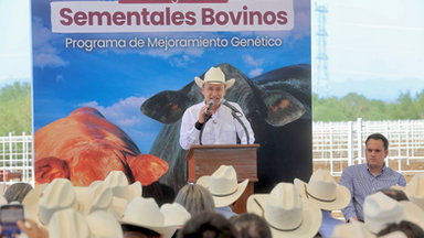 Gobernador Durazo beneficia a pequeños y medianos ganaderos sonorenses con entrega de maquinaria y sementales bovinos