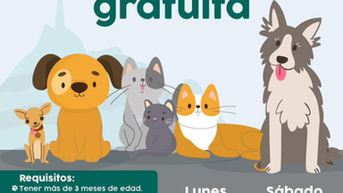Continúa Ayuntamiento de Hermosillo con esterilizaciones gratuitas de perros y gatos