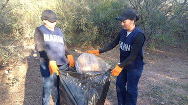 Realiza Ayuntamiento de Guaymas Talacha playera en playa San Francisco 