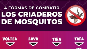 Refuerza Gobierno de Sonora acciones para prevenir el dengue durante la temporada de lluvias