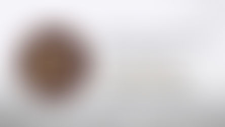 Servicios Periciales de la FGJES procesa restos óseos localizados en Sonoyta tras acciones de búsqueda coordinadas