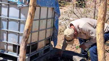 Refuerza Salud Sonora acciones contra el dengue en todo el estado para beneficio de la población