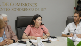 El Congreso de Sonora dialoga sobre iniciativa en materia de enfermedad celíaca