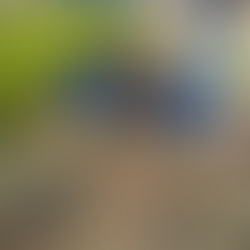 Estudiantes de la Normal del Estado fortalecen su formación integral con huerto escolar: Creson