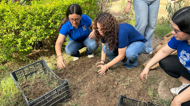 Estudiantes de la Normal del Estado fortalecen su formación integral con huerto escolar: Creson