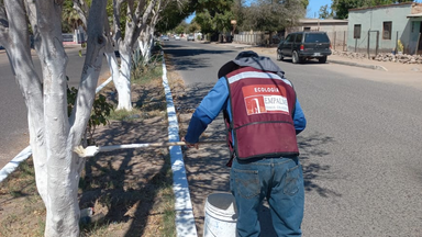 Trabaja Ecología Municipal en acciones de beneficio comunitario