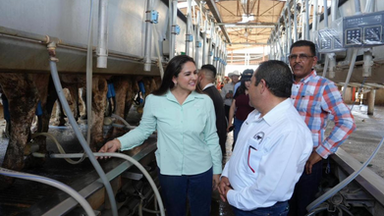 Gobierno de Sonora fortalece la productividad lechera con programa de mejoramiento genético
