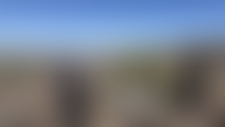 Acciones firmes de la Policía Estatal en la frontera dejan resultados positivos