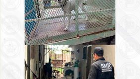 En Ciudad Obregón, la AMIC rescata a un canino en condiciones de abandono