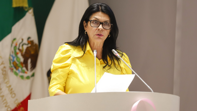 Diputados de Morena reconocen avances del primer año de la presidenta Claudia Sheinbaum al frente del país