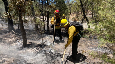 Gobierno de Sonora combate incendio forestal en Arizpe