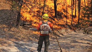Avanza Gobierno de Sonora en el combate al incendio forestal en Nácori Chico