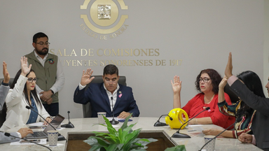 Aprueban en comisión reforma para fortalecer el desarrollo rural