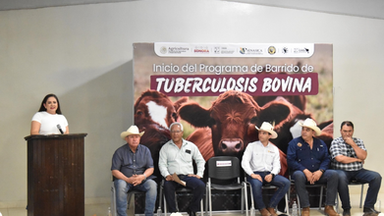Gobierno de Sonora inicia barrido sanitario para detección de tuberculosis bovina en San Ignacio Río Muerto