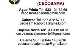 Invita Salud Sonora a buscar ayuda profesional ante crisis emocional