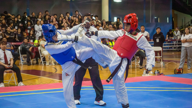 Clasifican 31 taekwondoínes de Sonora a la Olimpiada Nacional