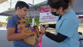 Gobierno de Sonora lleva servicios veterinarios gratuitos a todo el estado