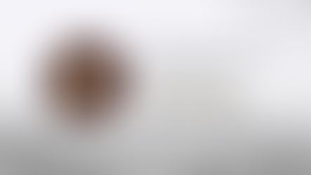 FGJES informa sobre diligencia de cateo en apoyo a labores de búsqueda en Puerto Peñasco