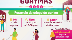 Realizará Ayuntamiento el Mercadito Hecho en Guaymas, el domingo 17 de agosto