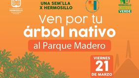 Realizará Ayuntamiento de Hermosillo donación masiva de árboles nativos y plantas