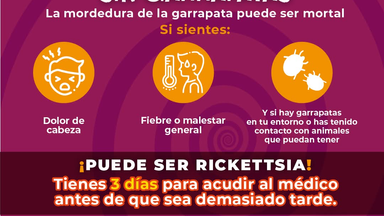 ¡Cuidado, la mordedura de la garrapata puede ser mortal!