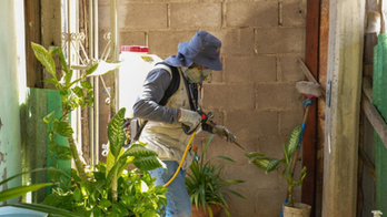 Intensifica Gobierno de Sonora acciones de control del dengue en el estado