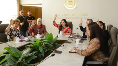 Aprueban en comisión reforma a la Ley de Salud