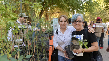 Promueve Municipio forestación de Hermosillo al donar mil árboles nativos por el Día del Árbol y Arbolado Urbano