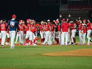 Venados deja en el terreno a Cañeros con hit de Santiago Gómez