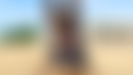 Instinto que protege: Binomio K-9 de la Policía Estatal detecta sustancias ilícitas en paquetería