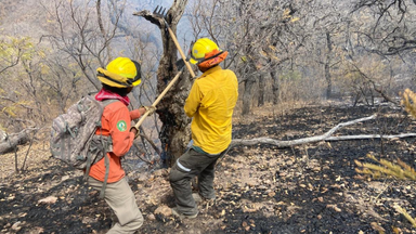 Gobierno de Sonora informa liquidación de incendio en Bavispe con apoyo de instancias federales y municipales