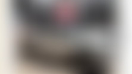 Detiene AMIC en coordinación con INTERPOL-México a mujer con orden de extradición a Estados Unidos por tráfico de fentanilo y armas