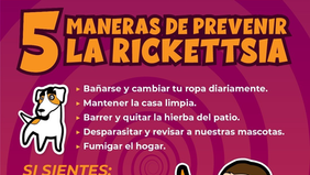 Trabaja Gobierno de Sonora en acciones preventivas contra la rickettsiosis