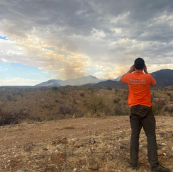 Avanza Gobierno de Sonora en control de incendio forestal en la Sierra Los Ajos