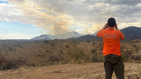 Avanza Gobierno de Sonora en control de incendio forestal en la Sierra Los Ajos