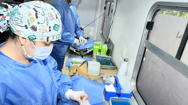 Reconoce Instituto Municipal de Protección y Bienestar Animal a rescatistas por sumarse a jornadas de esterilizaciones