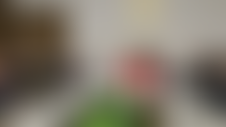 Avalan modificación a la tabla de valores del municipio de Banámichi