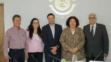Analiza Comisión de Minería del Congreso de Sonora situación del sector minero