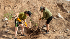 Gobierno de Sonora invita a disfrutar arte, naturaleza y comunidad en el Bosque Urbano La Sauceda