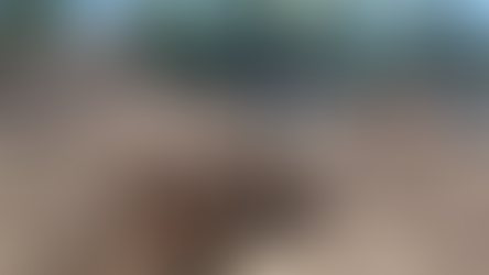 Avanza obra de rehabilitación de drenaje en la Moderna Norte