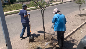 Brinda Ayuntamiento de Empalme permanente atención a áreas verdes en la ciudad