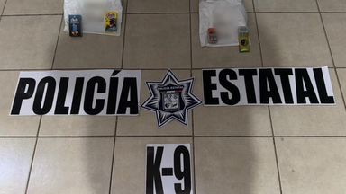 Trabajo especializado de K-9 de la PESP permite detectar envíos ilícitos