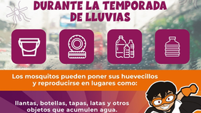 Ante la llegada de las lluvias, el Gobierno de Sonora refuerza acciones para prevenir el dengue