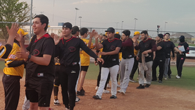Destructores es semifinalista de la Liga de Beisbol Intermotriz