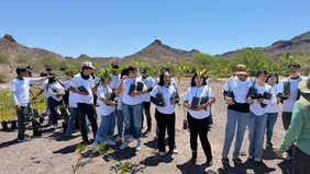 Participan estudiantes de Conalep Sonora en Campaña de Reforestación de Manglares