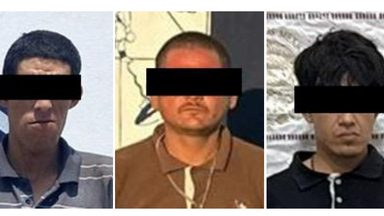Operativo del Gobierno de Sonora y fuerzas federales asegura narcótico en Cajeme