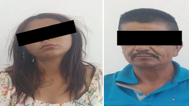 Policía Estatal y fuerzas de seguridad incautan narcótico en Nogales