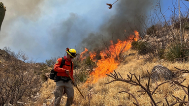 Gobierno de Sonora sofoca incendio forestal en Tubutama