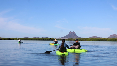 Gobierno de Sonora invita a visitar Estero El Soldado durante el periodo vacacional