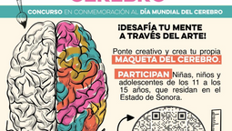 Invita Gobierno de Sonora a participar en el concurso “Conéctate con tu cerebro”